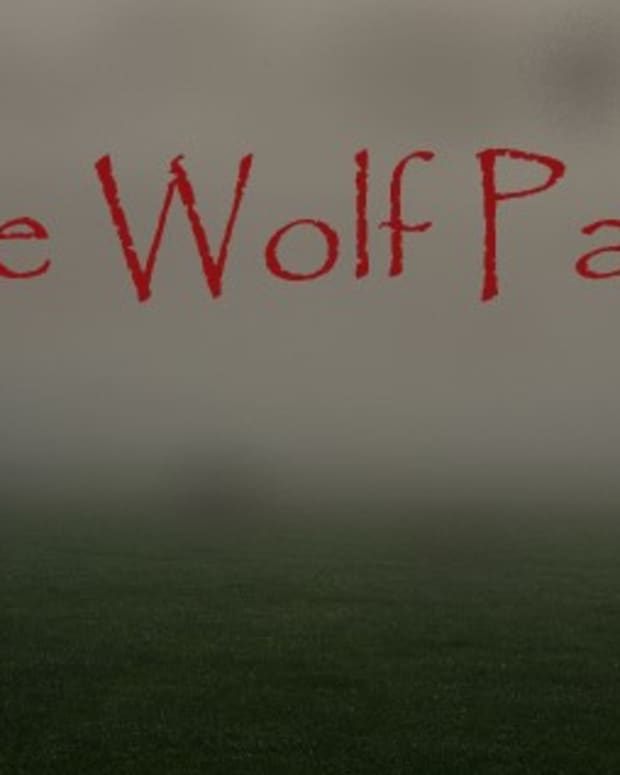 the-wolf-pack-fan-fiction-the-dark-tower