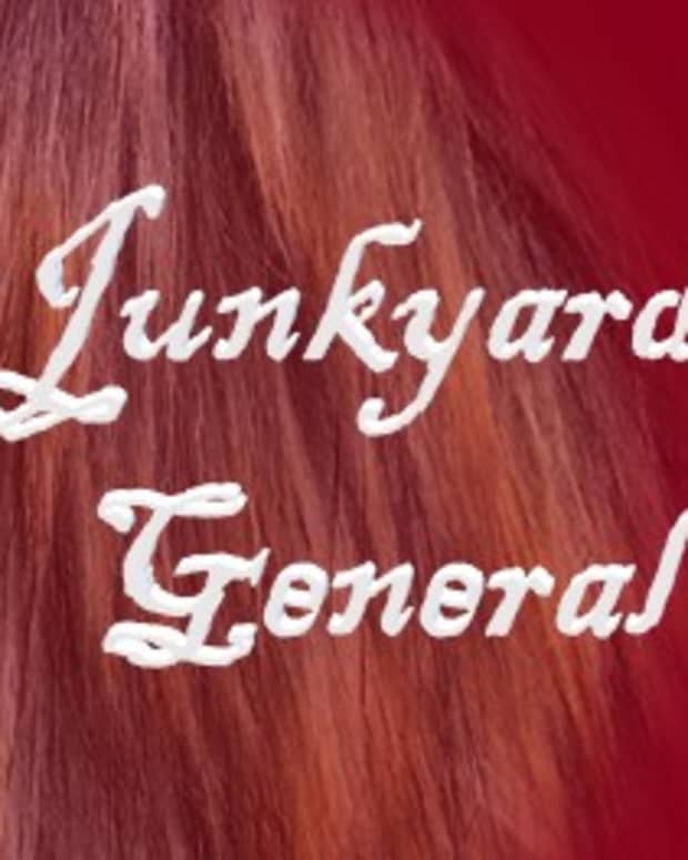 a-junkyard-dog-general-story-four-only-in-your-dreams-dog