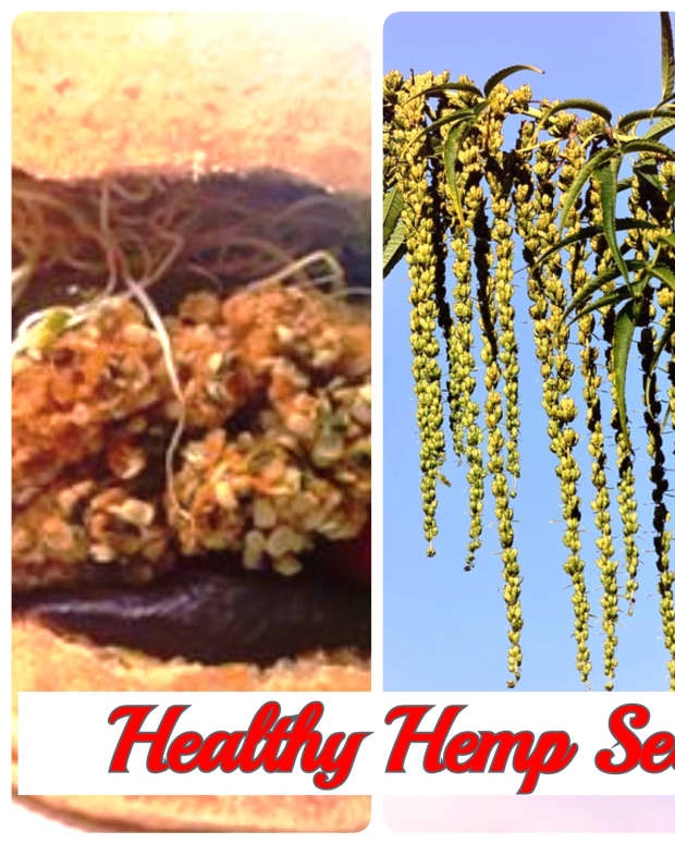 2-healthy-hemp-seed-recipes