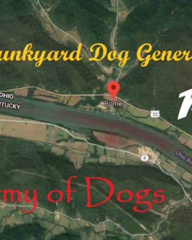 a-junkyard-dog-general-the-army-of-dogs-part-one