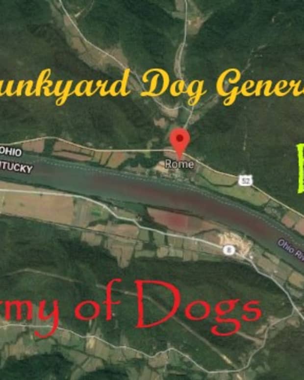 a-junkyard-dog-general-the-army-of-dogs-part-two