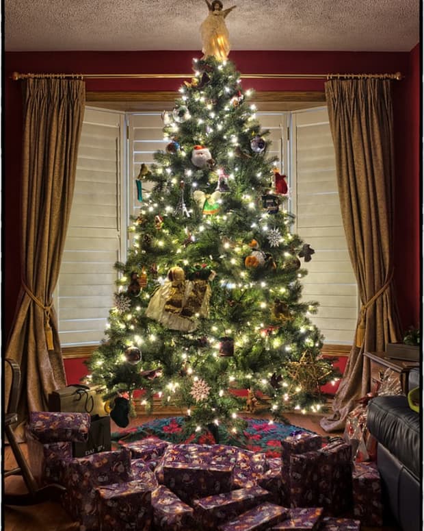 10-things-to-do-with-your-christmas-tree-after-christmas