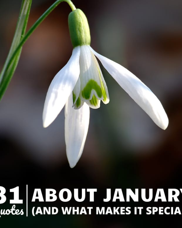 january-quotes-about-its-unique-features