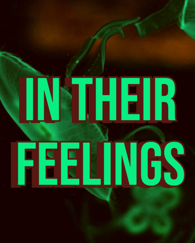 in-their-feelings