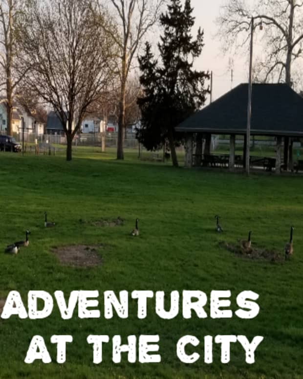adventures-at-the-city-park
