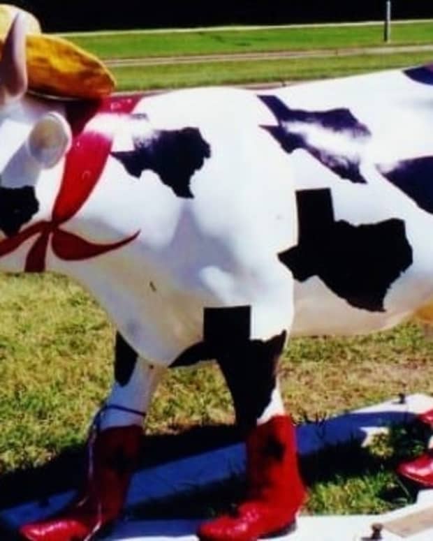 cow-parade-fun-in-houston-texas-it-was-moovelous
