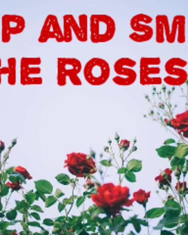 poem-stop-and-smell-the-roses