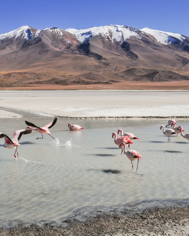 5-unexpected-things-you-can-do-in-bolivia