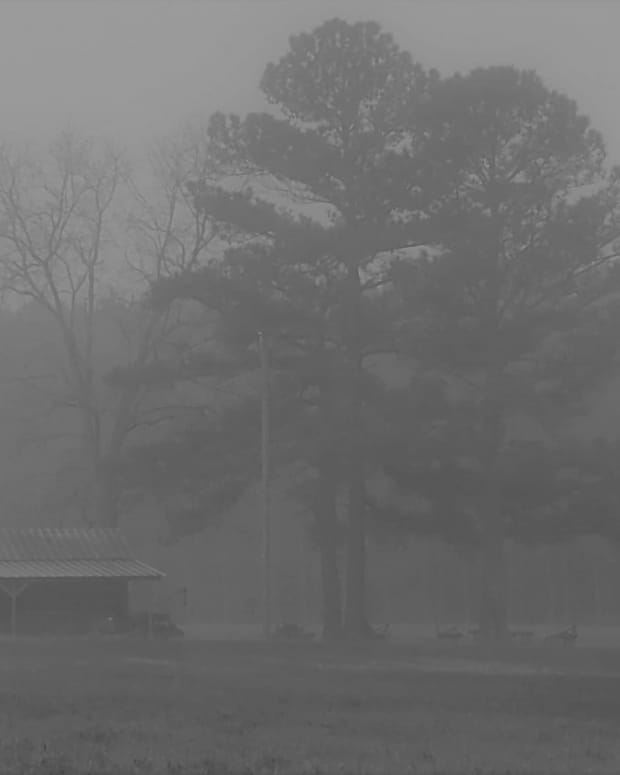 life-in-a-fog