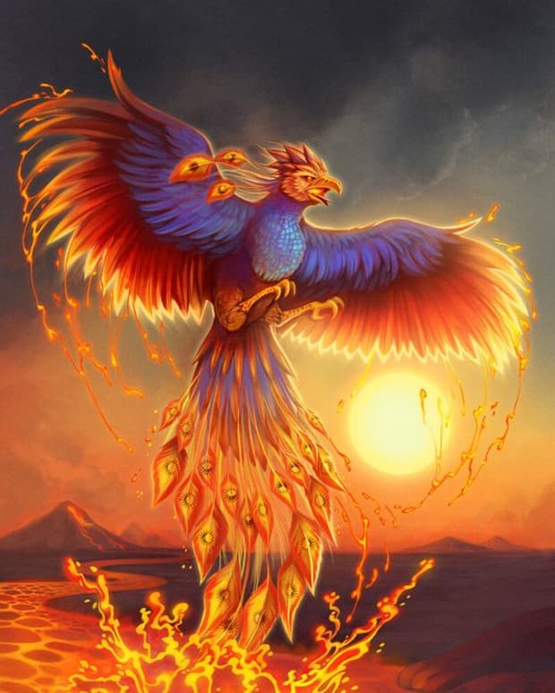 a-poem-called-flight-of-the-phoenix