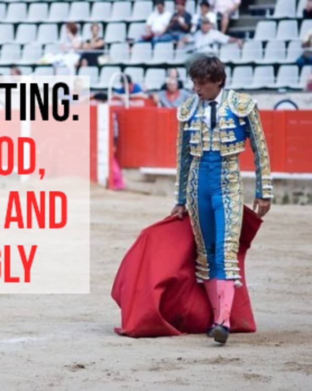 arguments-for-and-against-bullfighting