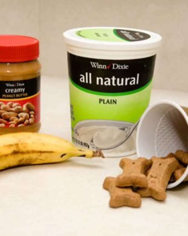 Recipe for the Best Peanut Butter Dog Treats PetHelpful