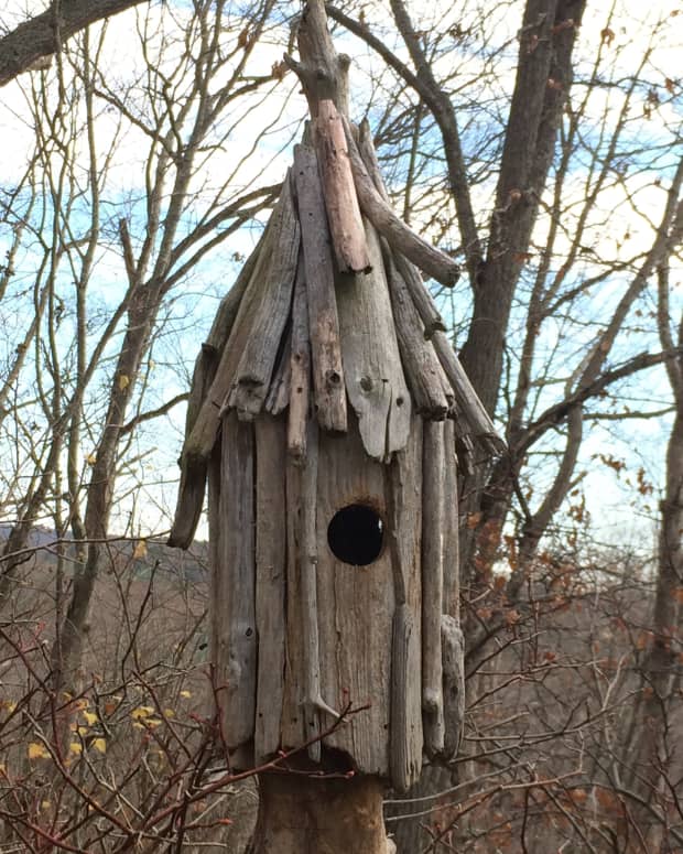 driftwood-art-how-to-make-a-driftwood-birdhouse