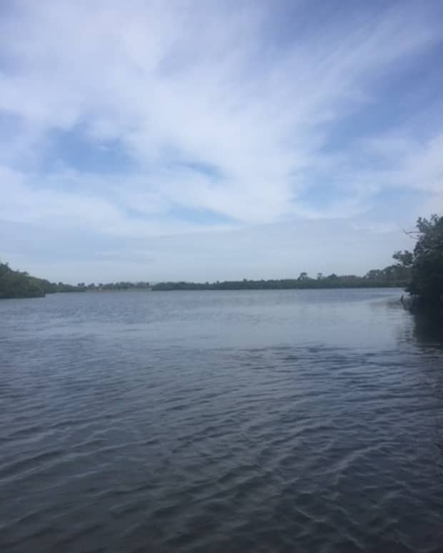 kayaking-in-venice-florida