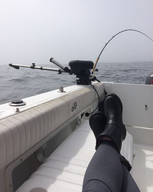 reasons-to-go-fishing-in-ucluelet-tips-to-booking-a-charter