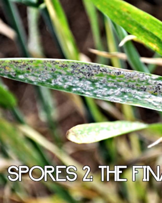 spores-the-final-assault-7
