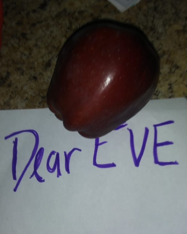 a-letter-from-adam-addressed-to-eve