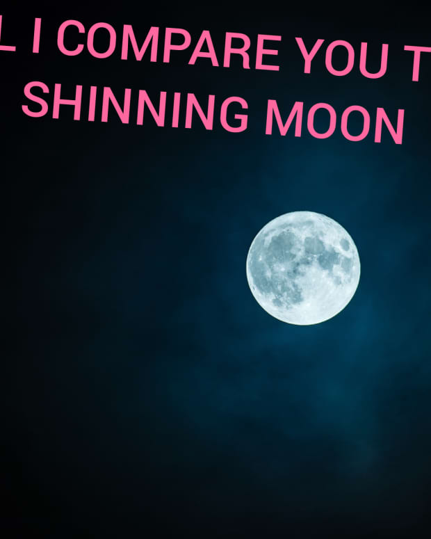 shall-i-compare-you-to-the-shining-moon