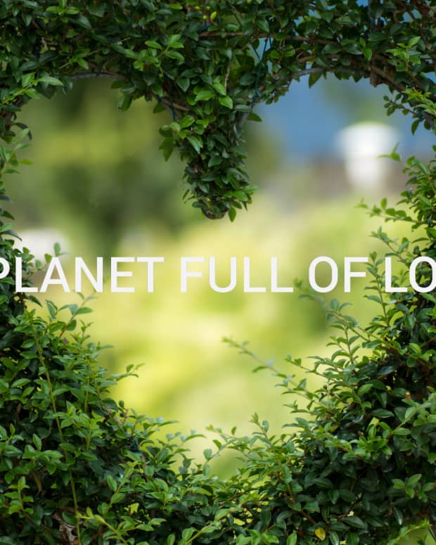 a-planet-full-of-love
