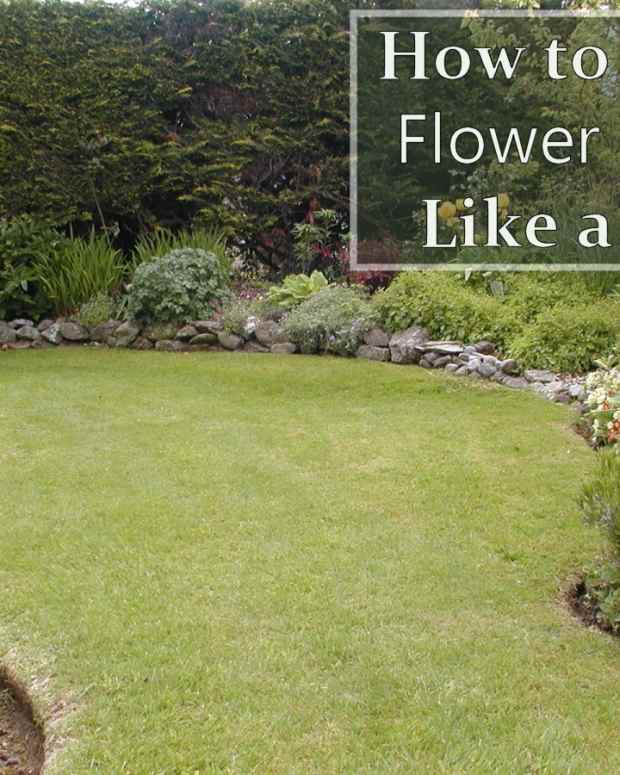 How to Use a String Trimmer Properly, Without Breaking the Line! Dengarden Home and Garden