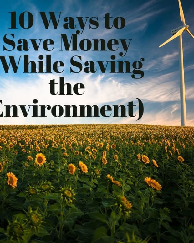 10-tips-on-how-you-can-save-money-while-protecting-the-environment