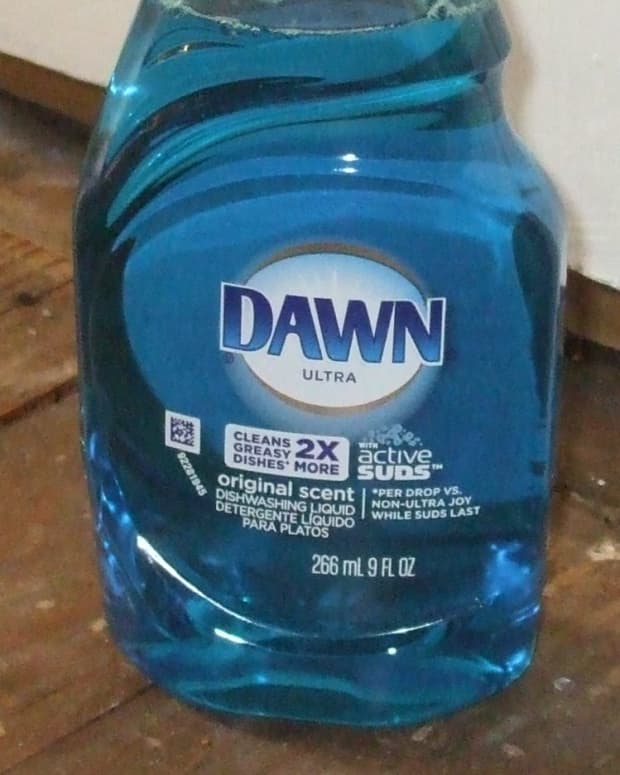 bathing-a-cat-in-dawn-blue-detergent