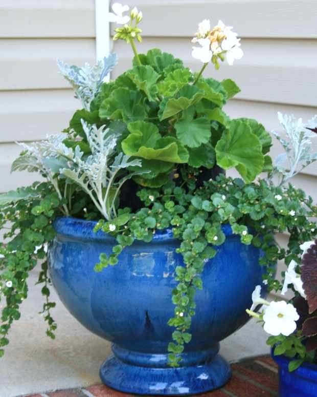 how-to-plant-stacked-containers