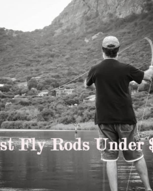 best-fly-rods-for-sale-reviews