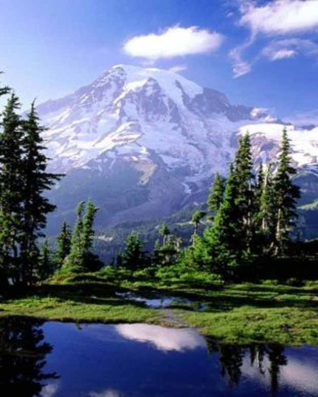 song-of-solomon-a-case-study-of-purity-passion