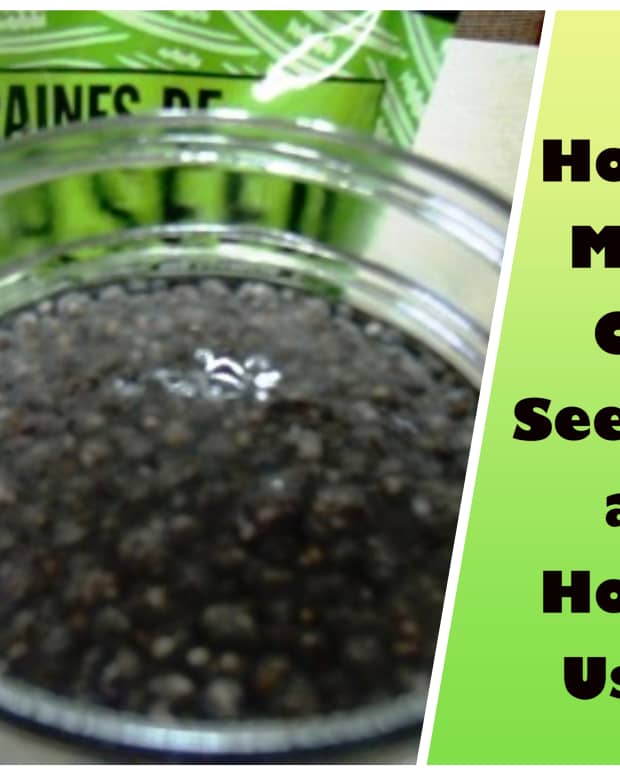 how-to-make-chia-seed-gel-and-how-to-use-it