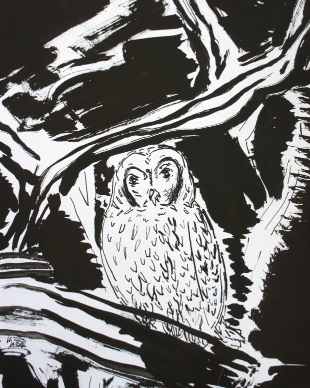 friday-morning-owl-suggests-slowing-down