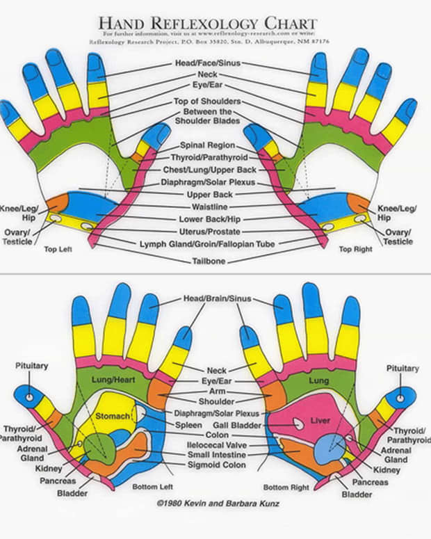 hand-reflexology-chart