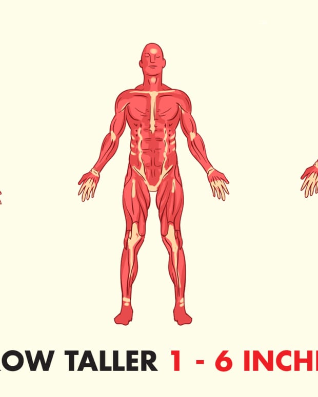 Best Exercises To Make Your Legs And Body Grow Taller Naturally Hubpages