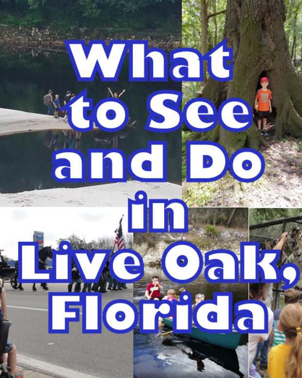 activities-for-kids-field-trips-in-live-oak-florida