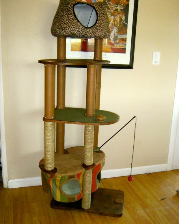 product-review-solvit-kittyscape-play-structure-cat-furniture