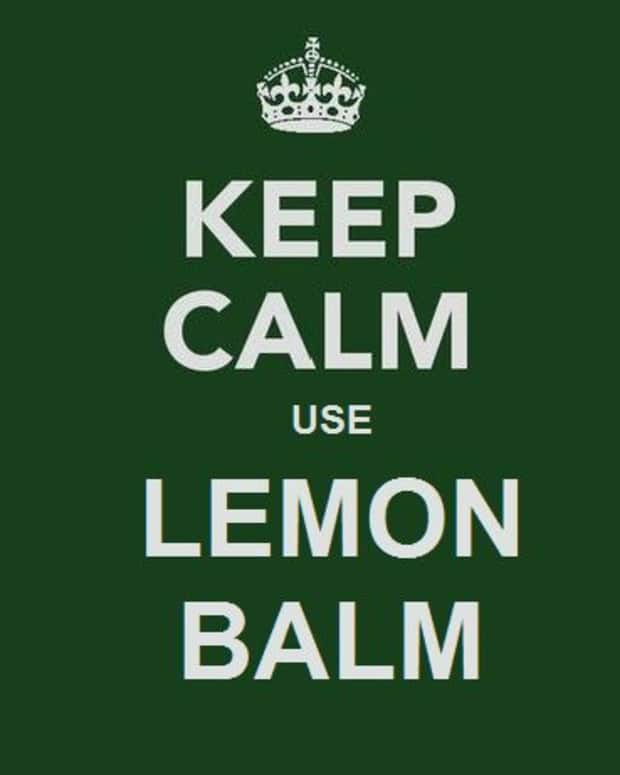 natural-cures-and-dr-oz