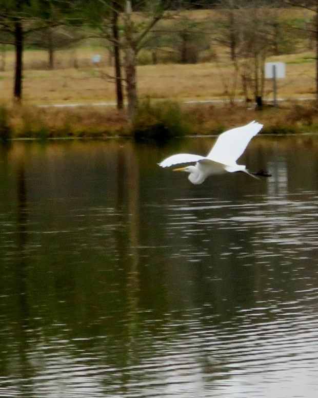 keith-wiess-park-natural-beauty-in-northeast-houston