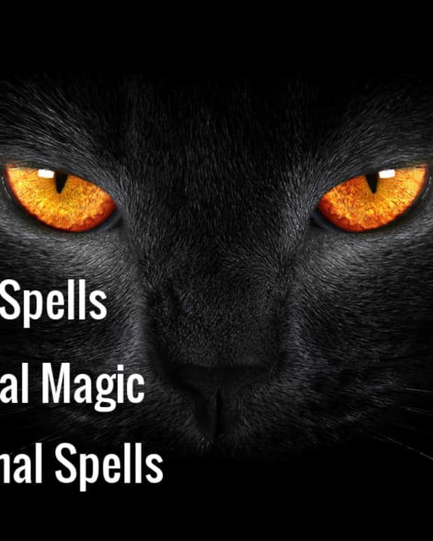 spells-real-magic-animal-spells
