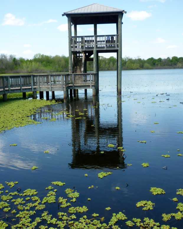 cullinan-park-in-sugar-land-texas
