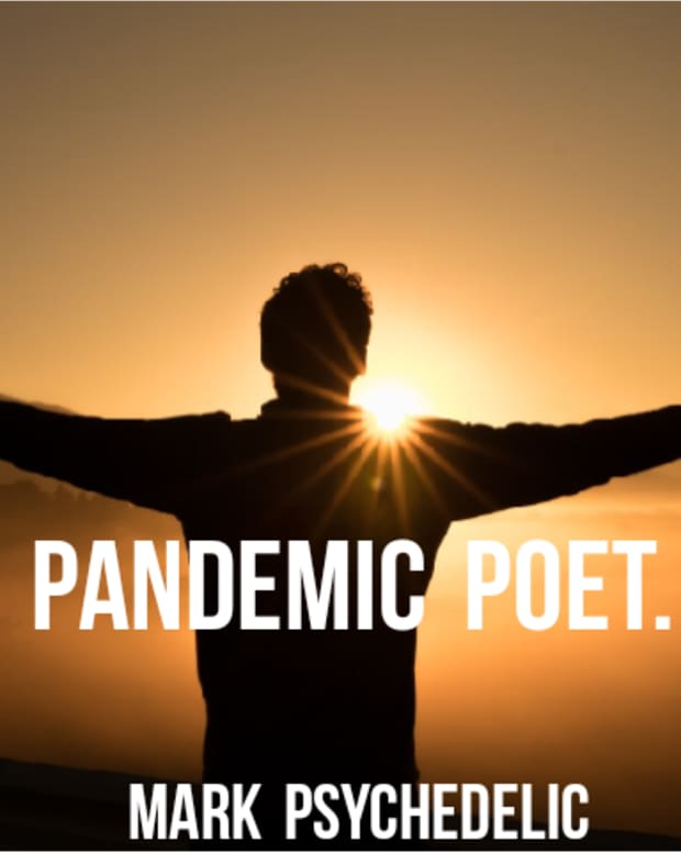 pandemic-poet