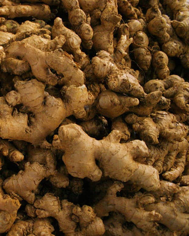 the-sixteen-amazing-nutrients-in-ginger＂>
                </picture>
                <div class=