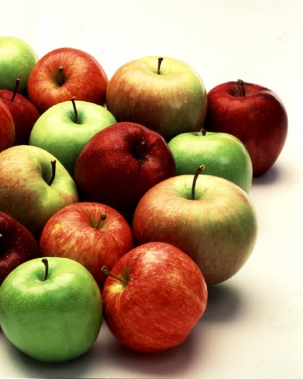 The Best Apples for Eating Fresh - Delishably