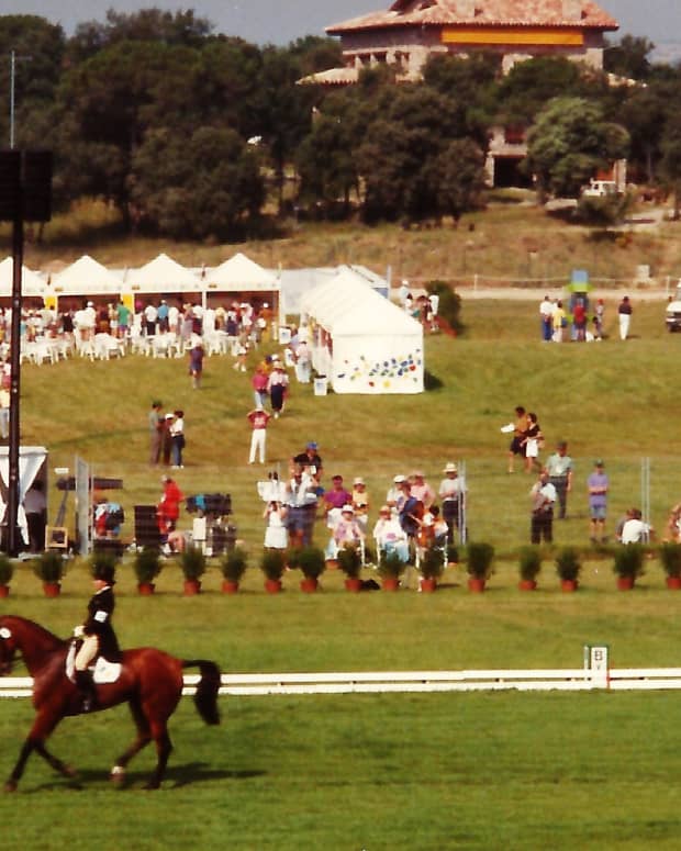 what-is-dressage-from-lipizzan-horses-to-dressage-in-the-olympics-our-experiences