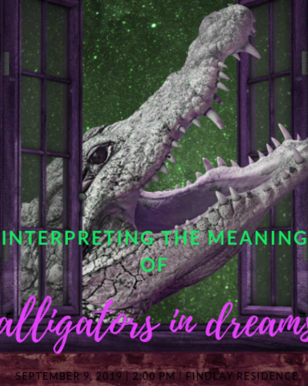 how-to-interpret-alligators-and-crocodiles-as-dream-symbols