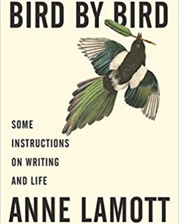 summary-of-shitty-first-drafts-by-anne-lamott-from-bird-by-bird