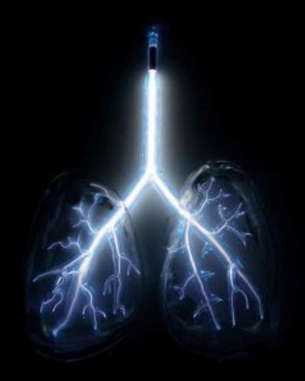 human-anatomy-lesson-7