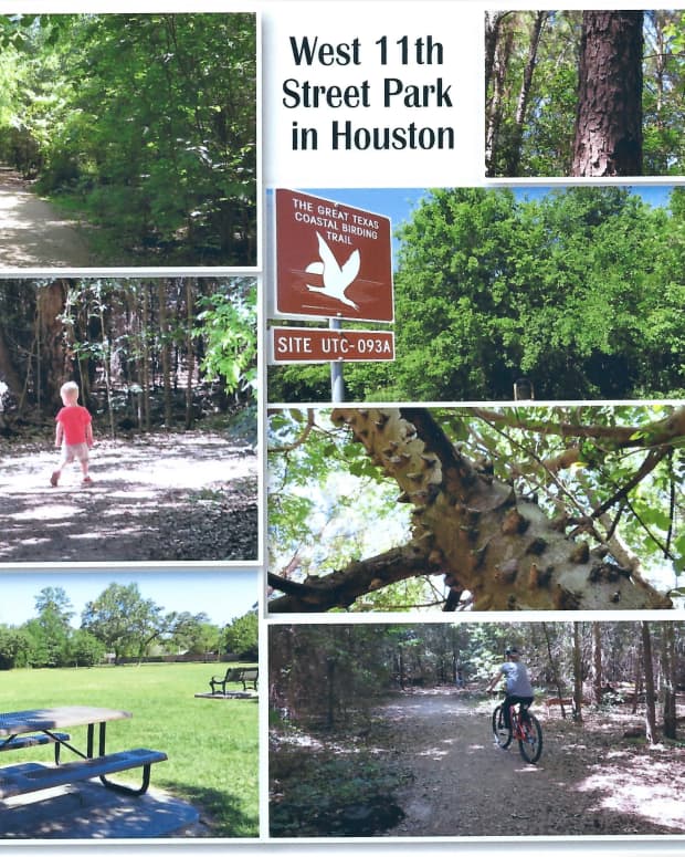 west-11th-street-park-in-houston-wilderness-in-the-city
