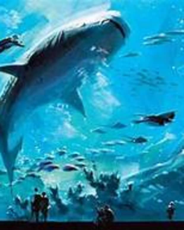 12-of-the-largest-aquariums-in-the-world