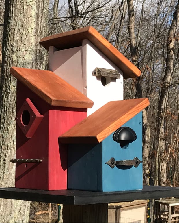 yard-art-birdhouse-how-to-build-a-multi-family-condo-birdhouse