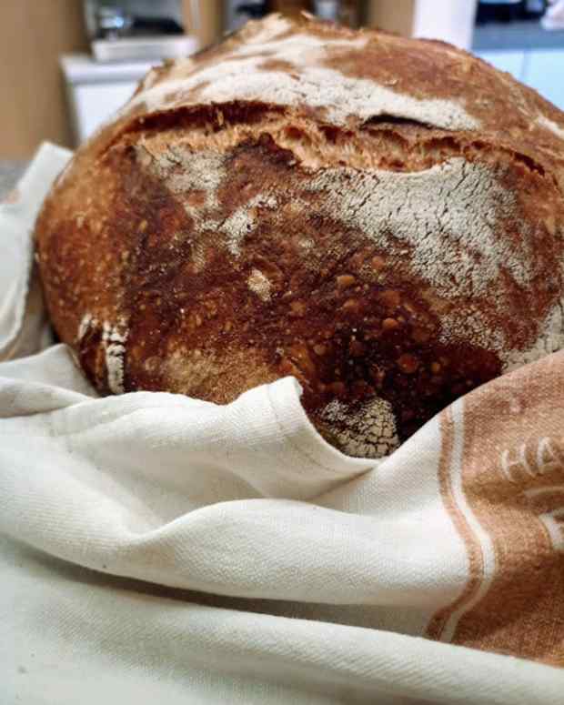 How to Use Sourdough Starter in Place of Dried Yeast Delishably